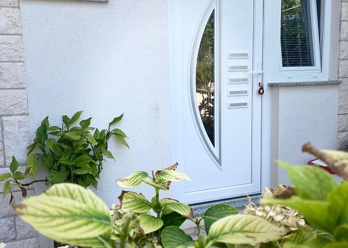 Jonjic Βόντιτσε